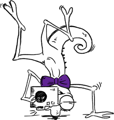 Gamma cameleon standing on his head taking photos